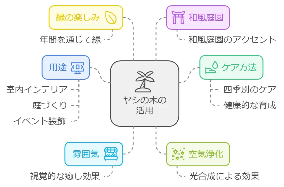 観葉植物のヤシの木