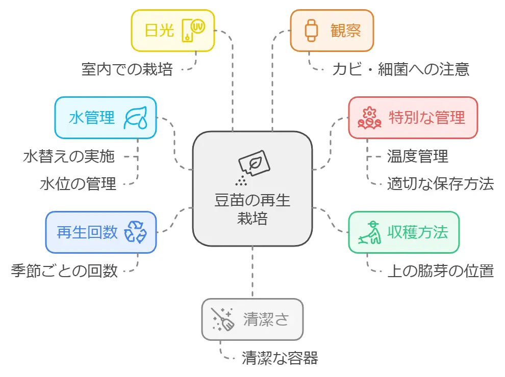 豆苗の再生は何回